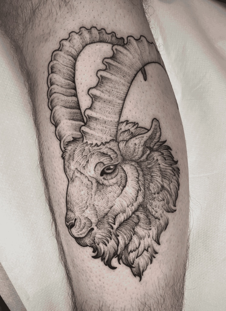 Bezoar Ibex Portrait Goat Tattoo