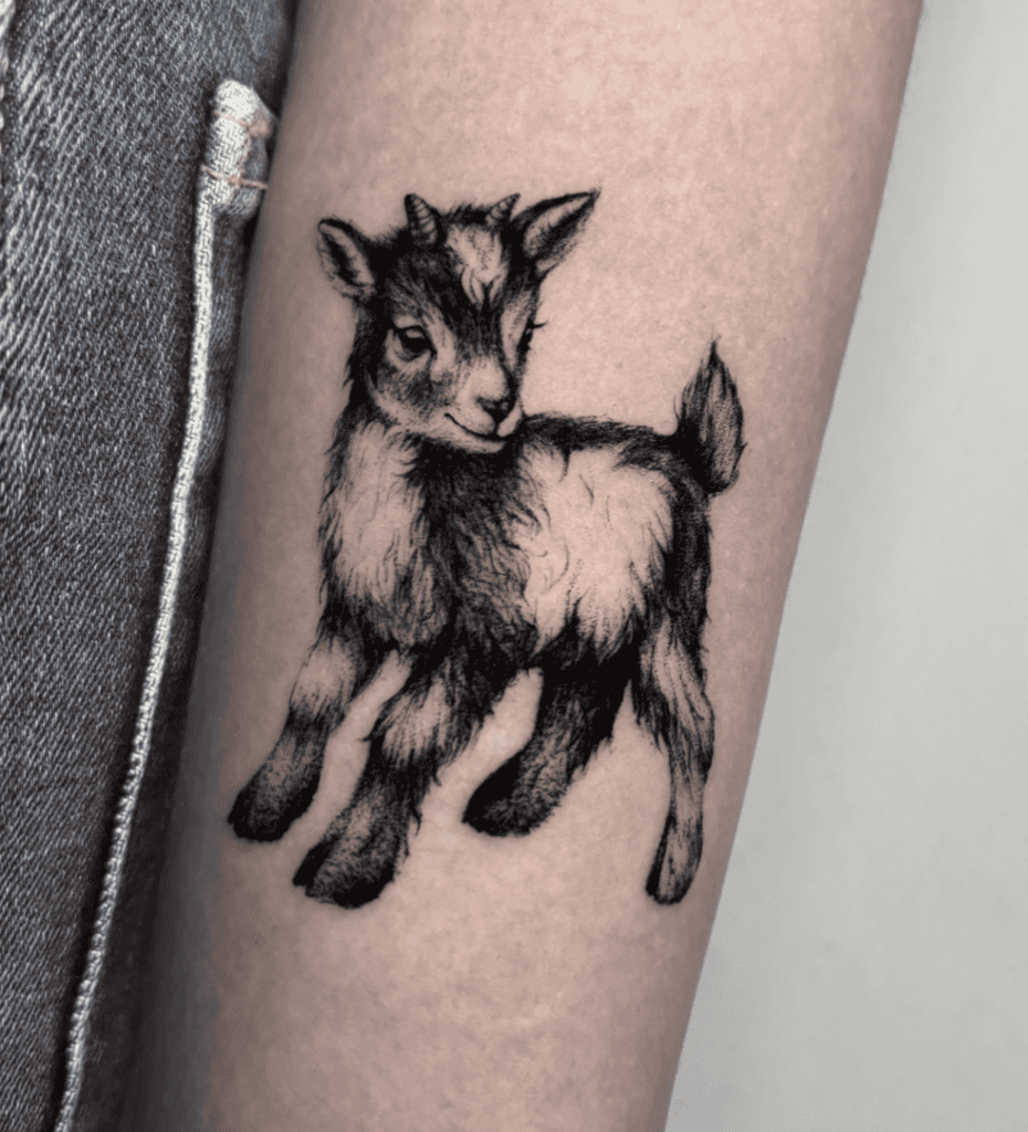 Domestic Goat Lamb Tattoo