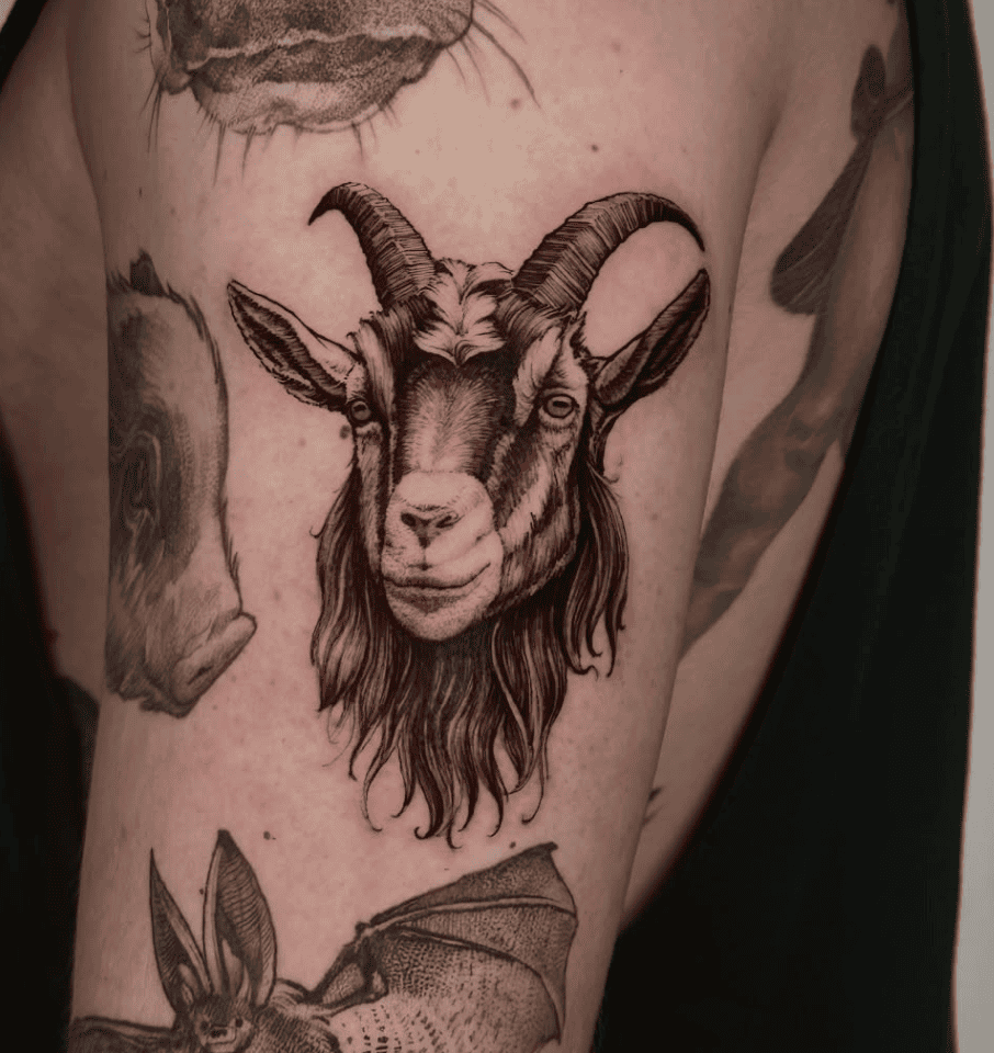 Domestic Goat Tattoo