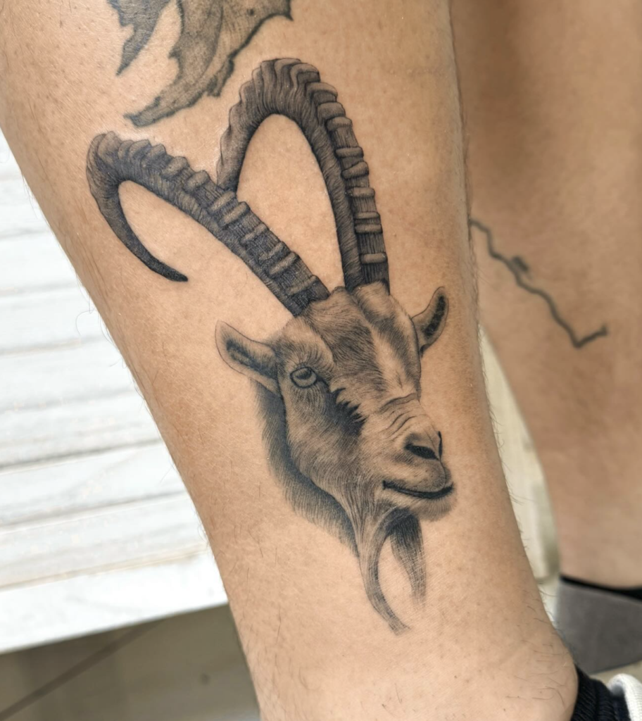 Alpine Ibex Head Goat Tattoo
