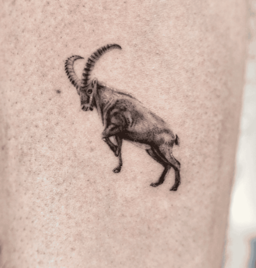Nubian Ibex Walk Goat Tattoo
