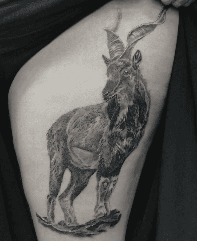 Markhor Stance Goat Tattoo