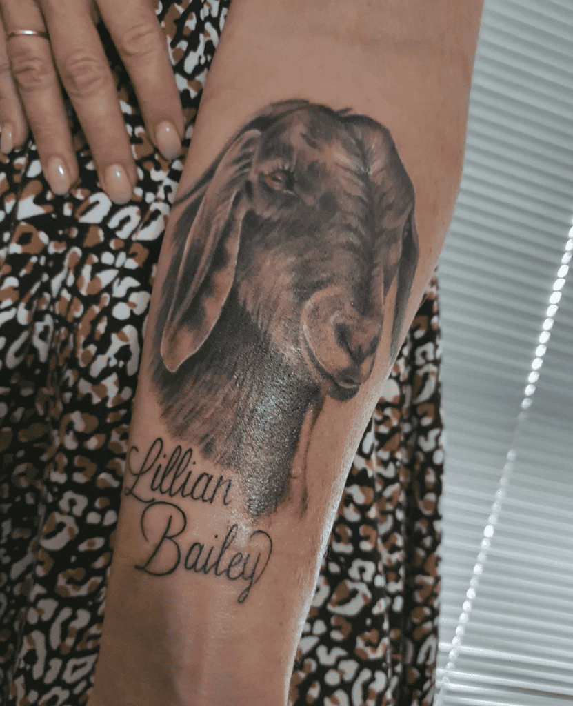 Boer Goat Tattoo