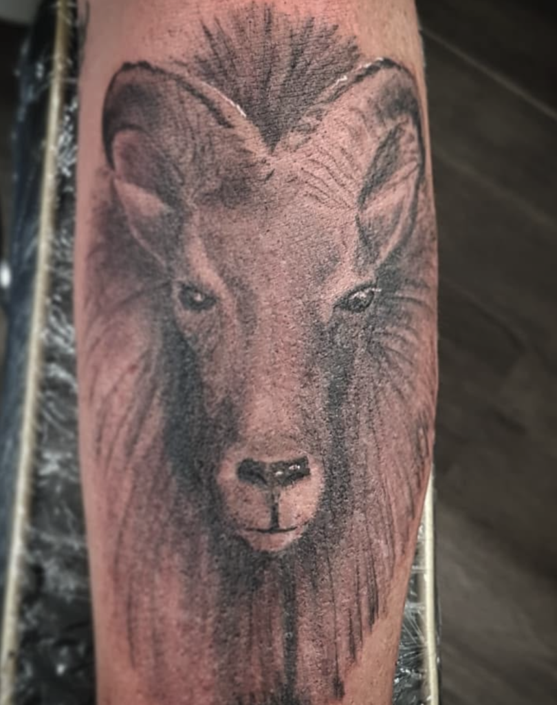 Himalayan Poke Tahr Goat Tattoo