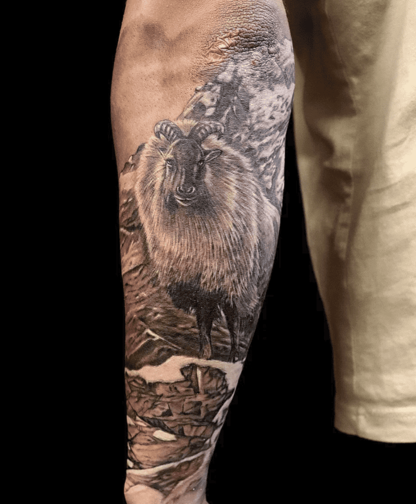 Himalayan Tahr Goat Tattoo