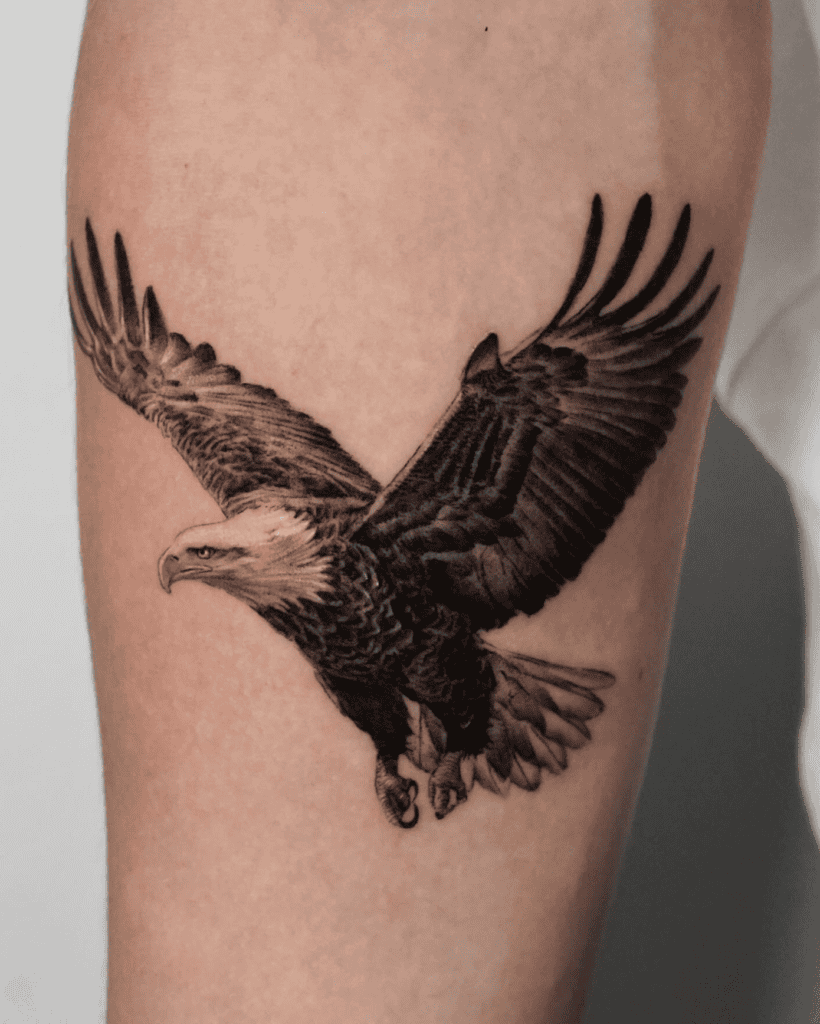 Eagle Fly Animal Tattoo