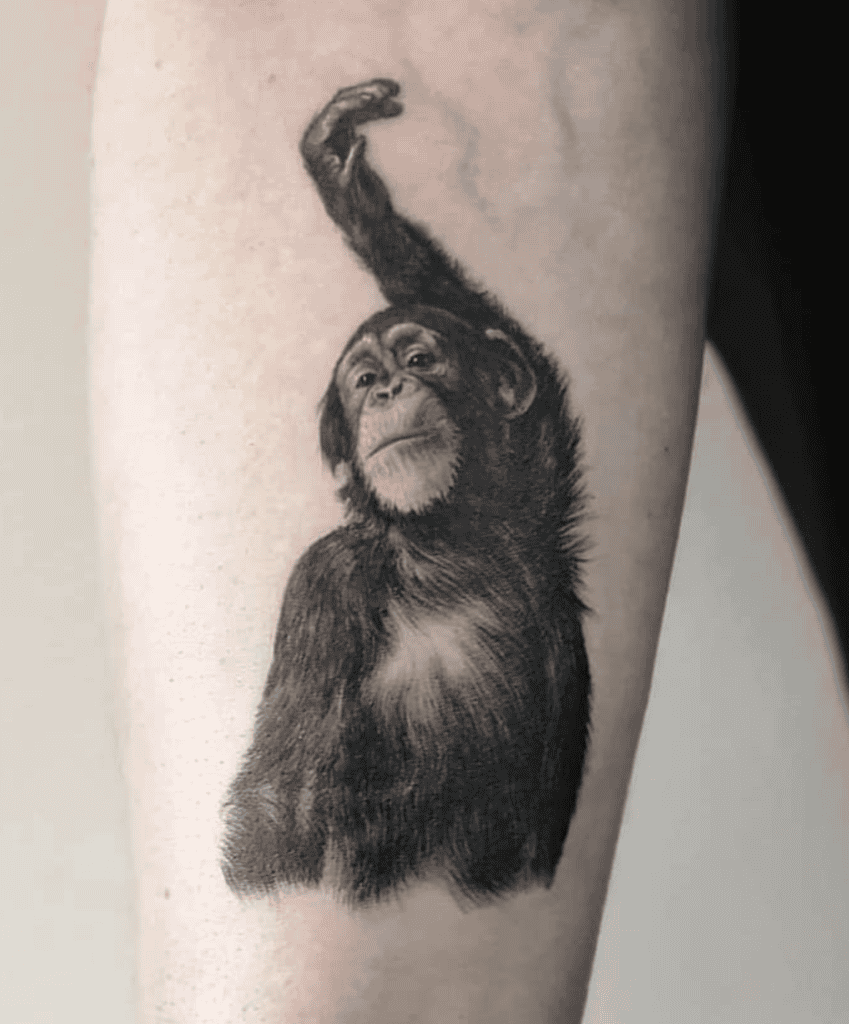 Ape Animal Tattoo