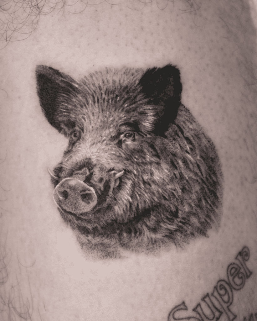 Pig Boar Animal Tattoo