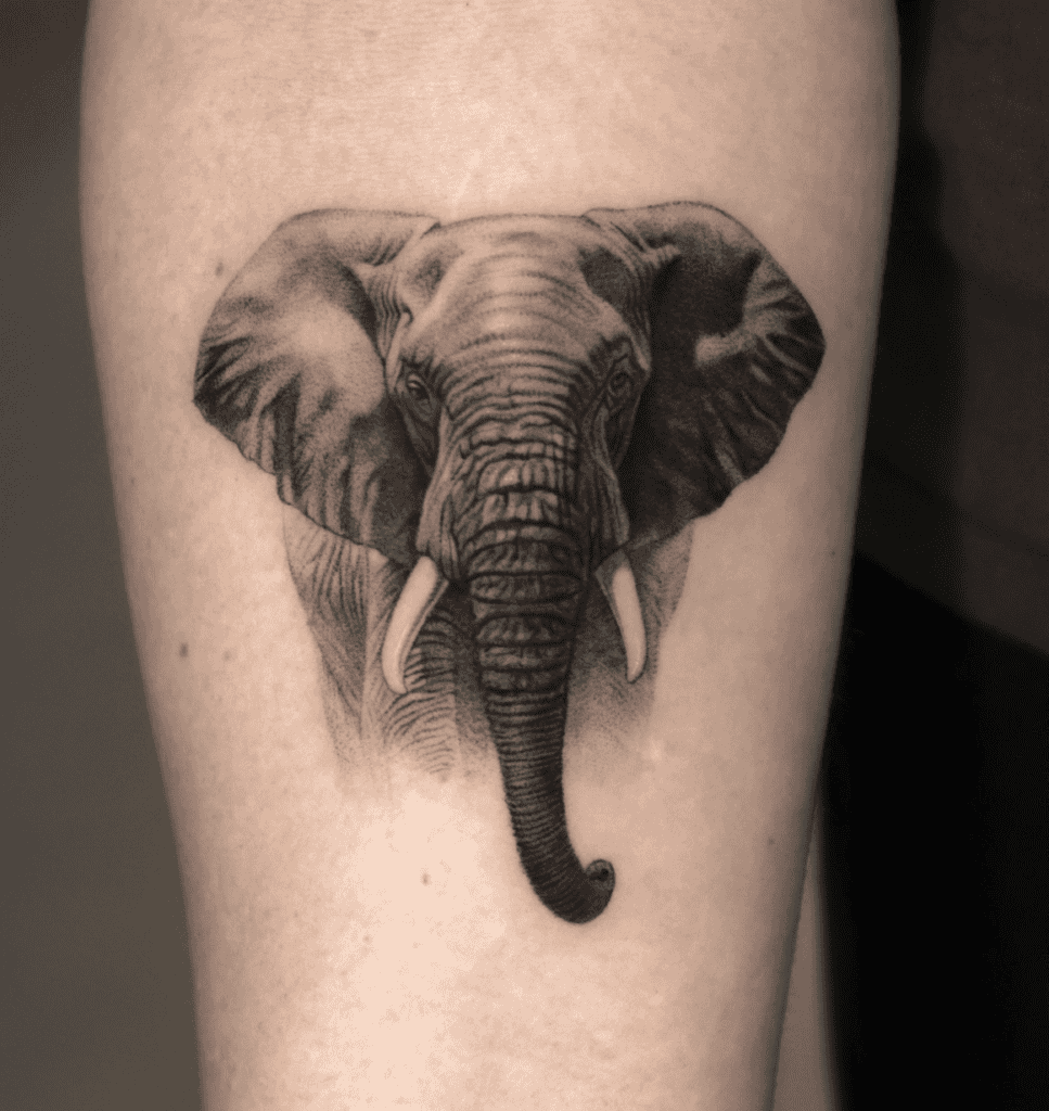 Elephant Portrait Animal Tattoo