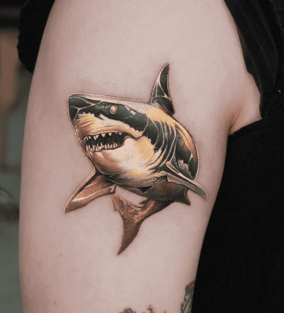 Shark Animal Tattoo