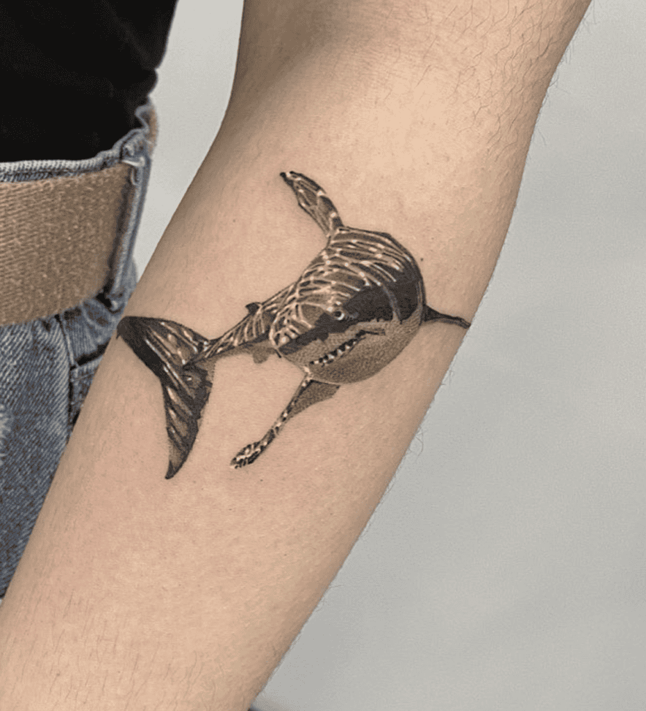Shark Great White Animal Tattoo