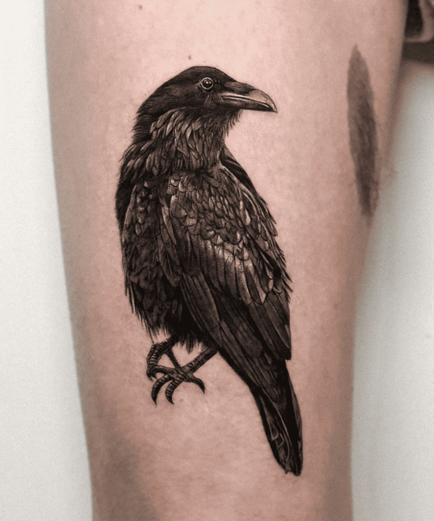 Raven Animal Tattoo