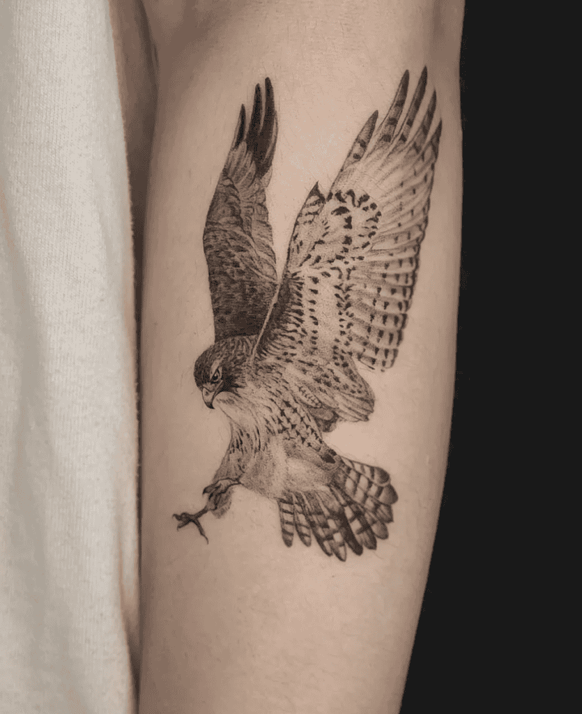 Hawk Animal Tattoo