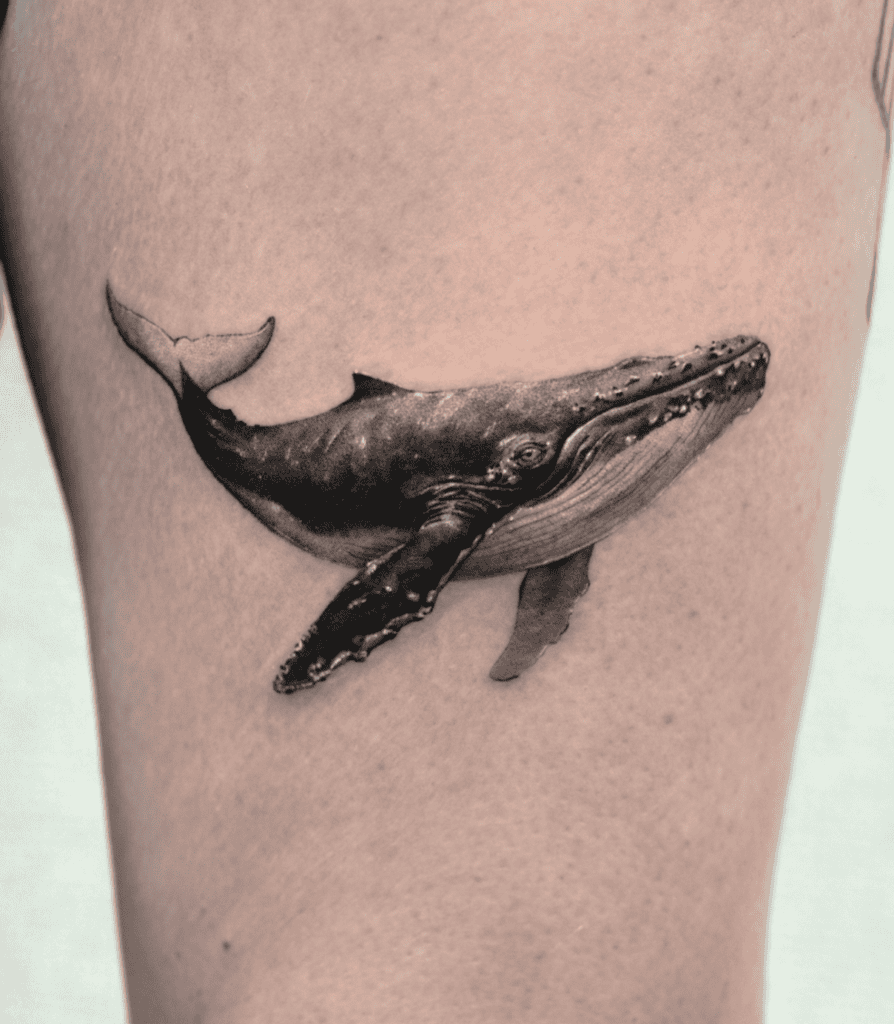 Whale Blue Animal Tattoo