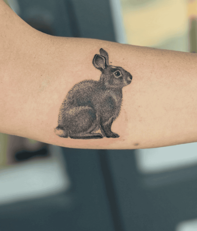 Eastern Cottontail Sit Rabbit Tattoo