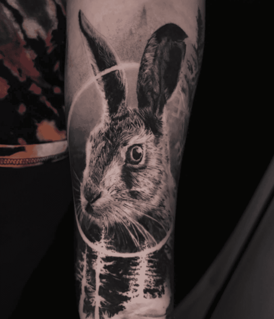 Hispid Rabbit Tattoo