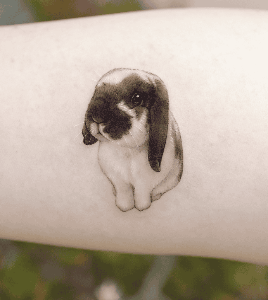French Lop Rabbit Tattoo