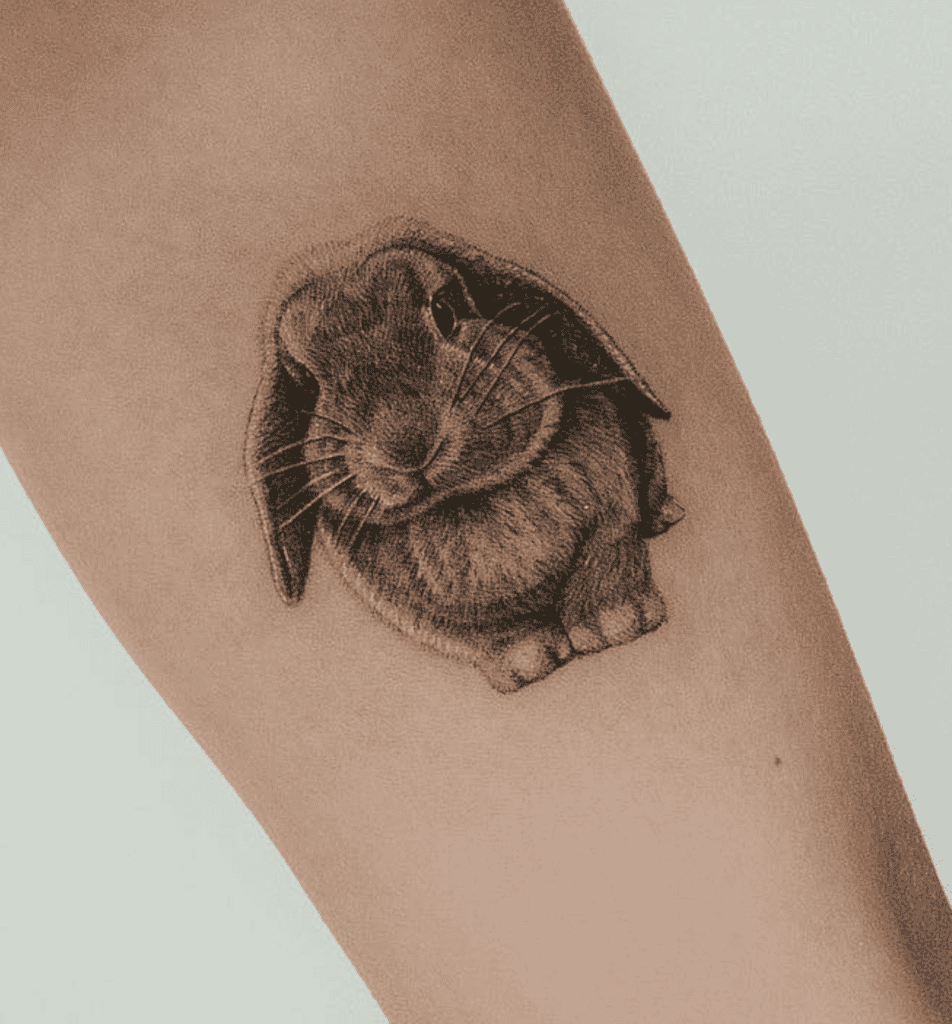 Holland Lop Rabbit Tattoo