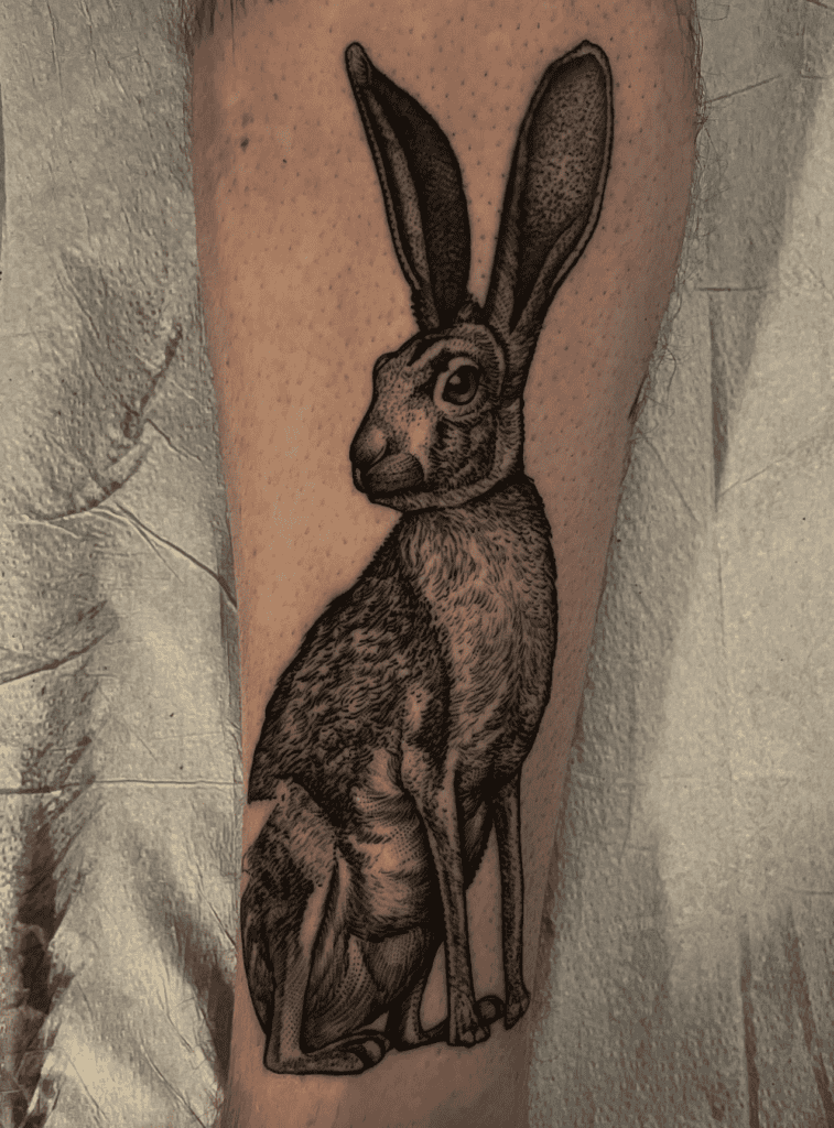 Belgian Hare Tattoo