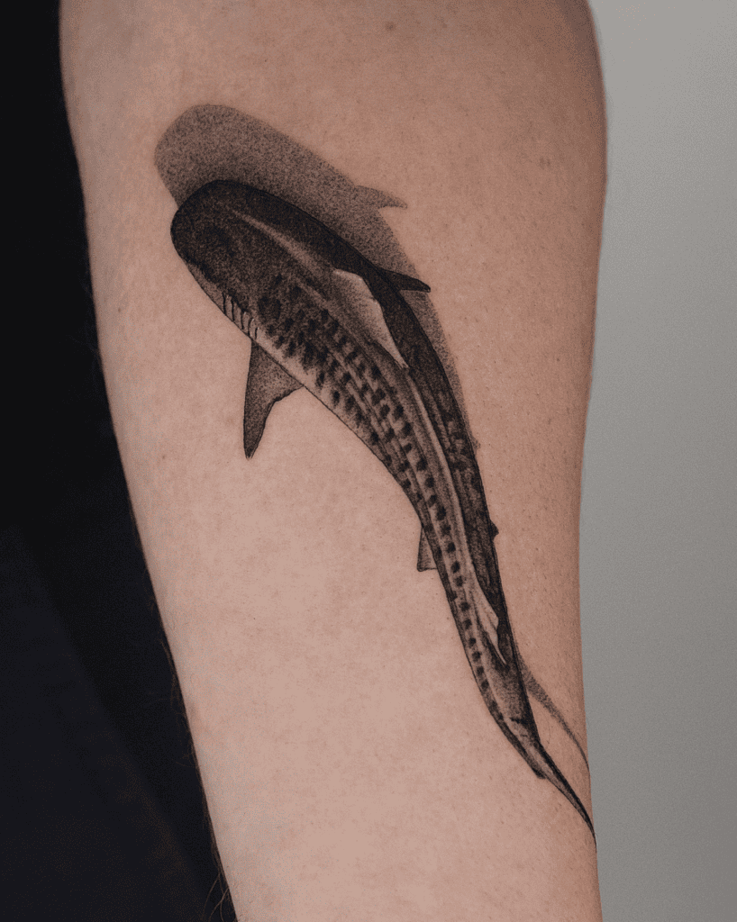 Tiger Shark Above Tattoo
