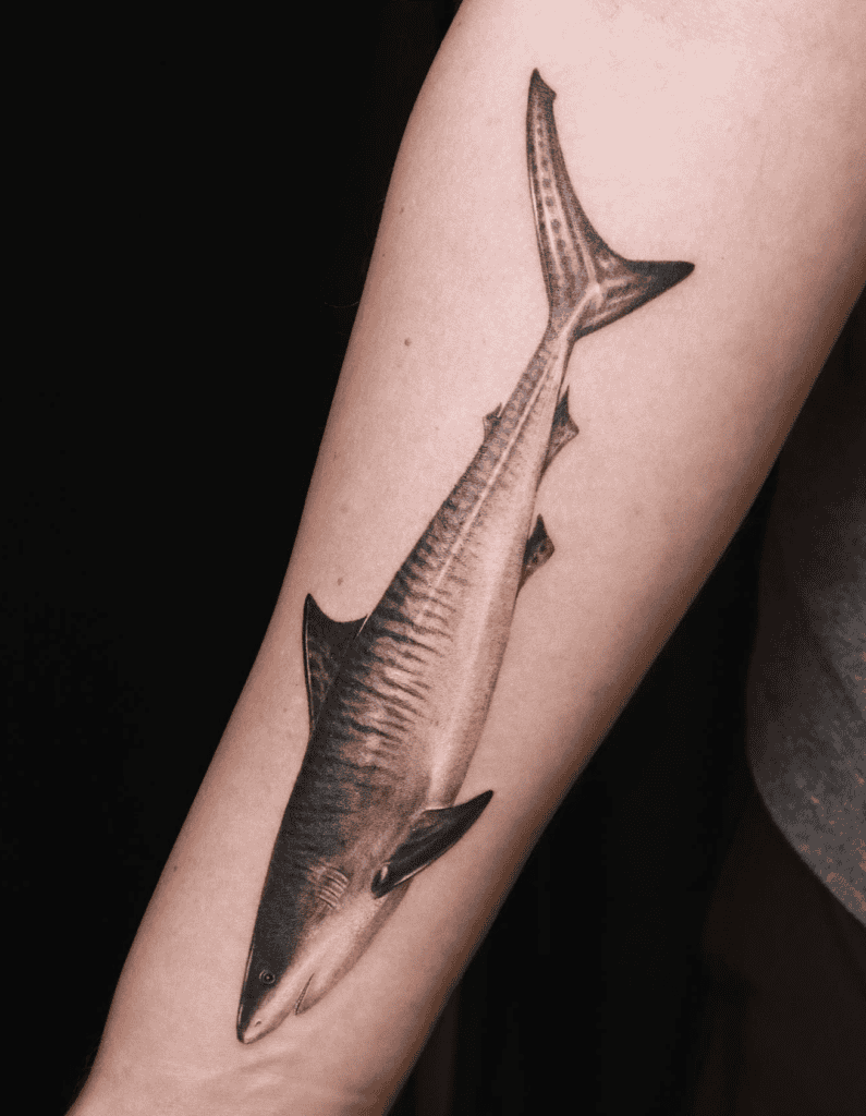 Tiger Shark Length Tattoo