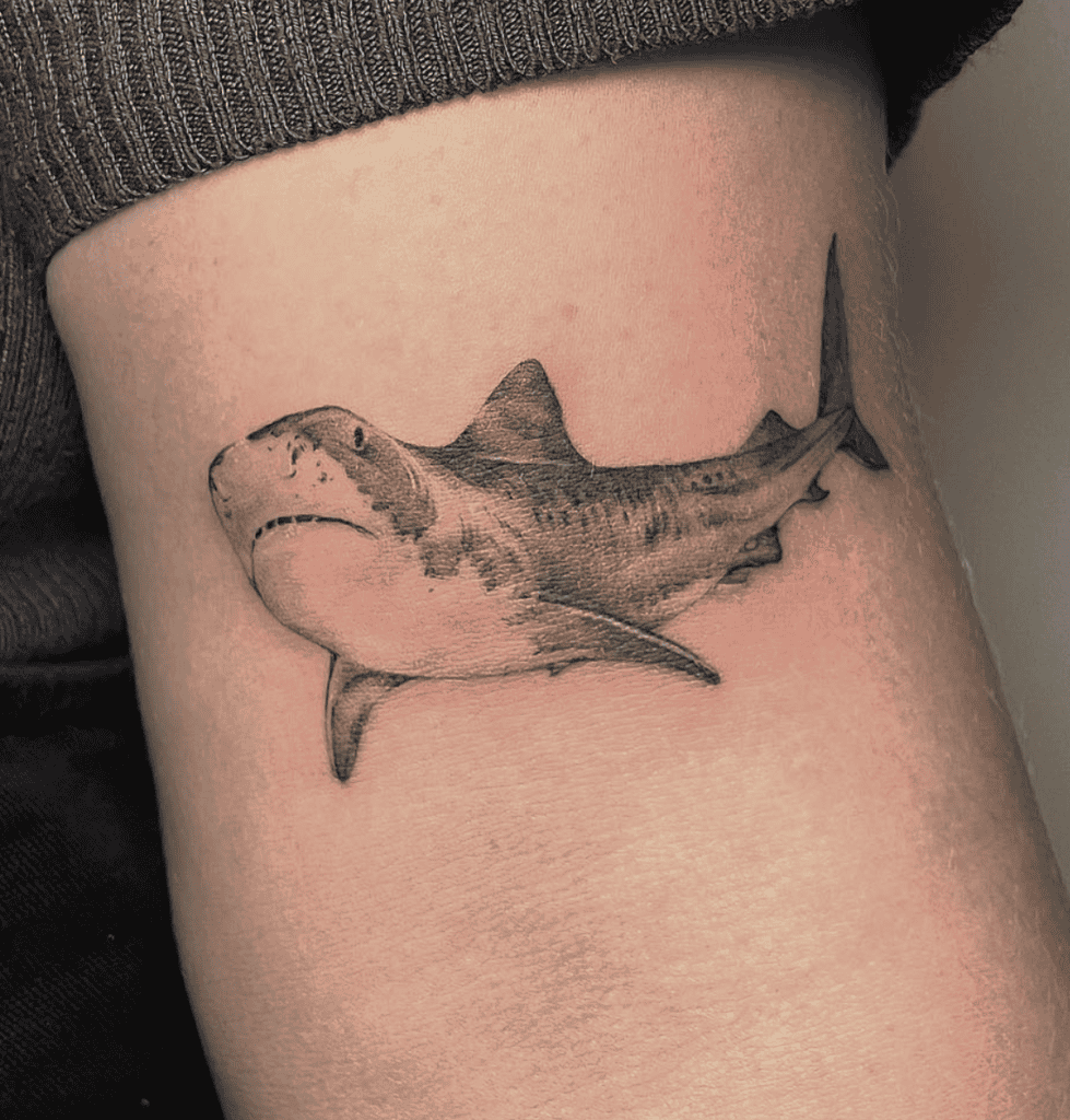 Tiger Shark Tattoo