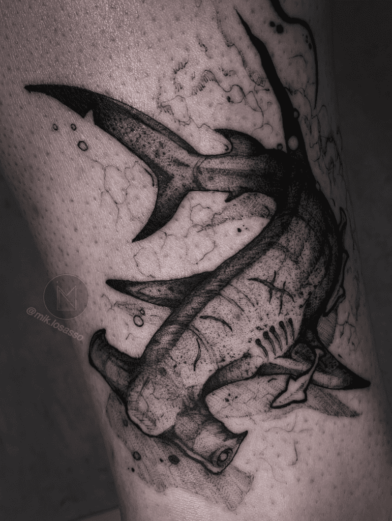 Hammerhead Shark Scar Tattoo