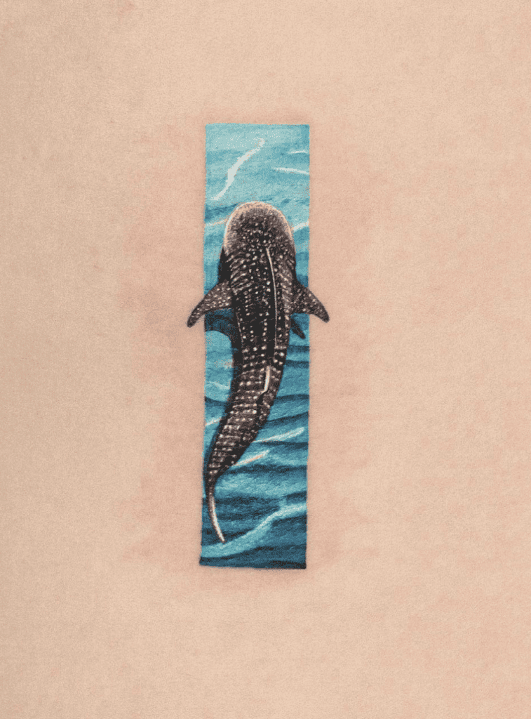 Whale Shark Frame Tattoo