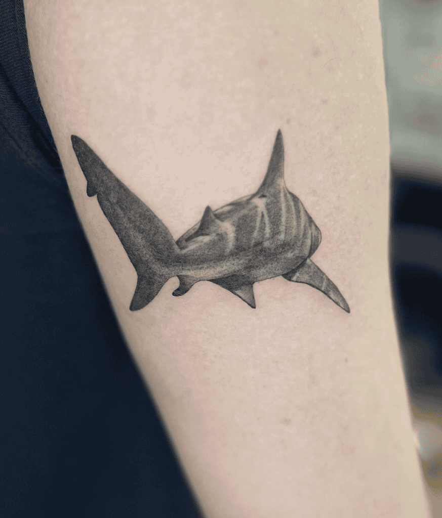 Bull Shark Swim Tattoo