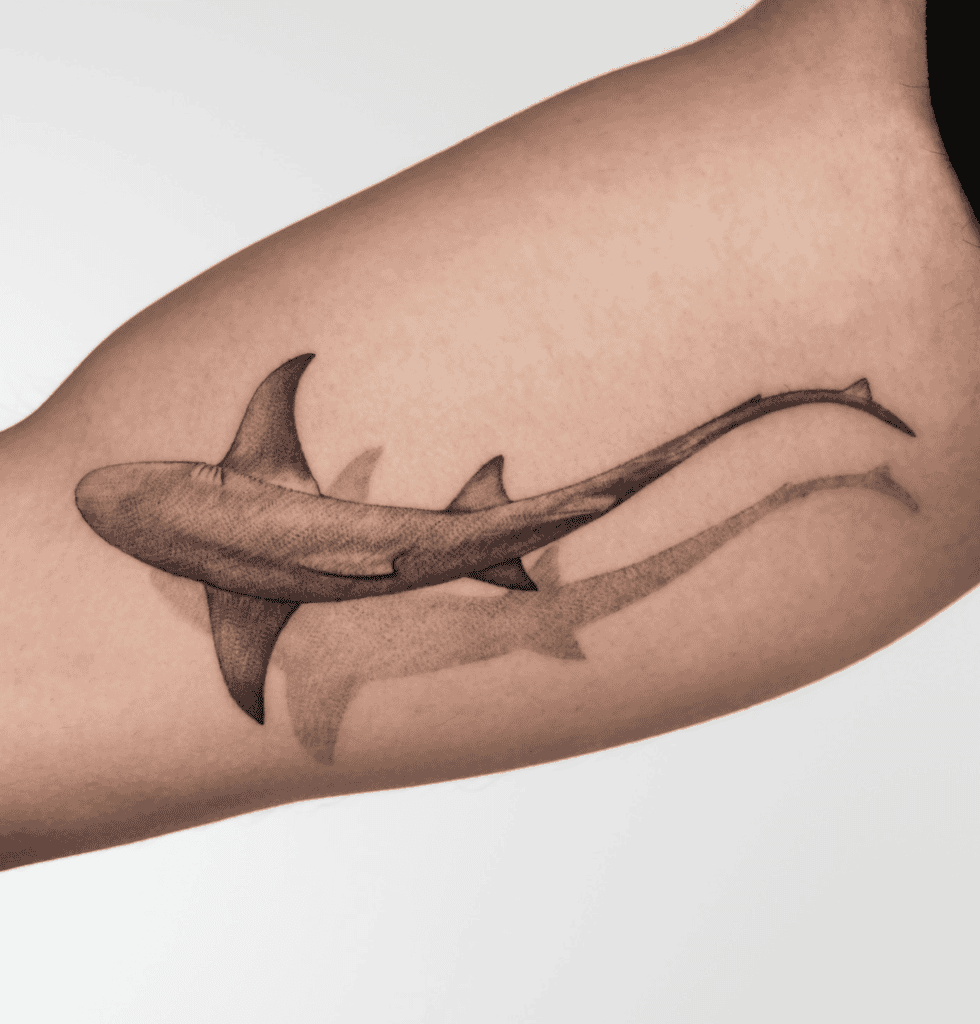 Bull Shark Tattoo