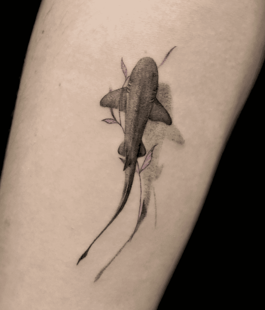 Nurse Shark Above Tattoo