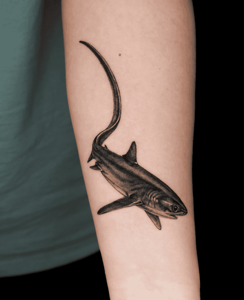 Thresher Shark Swim Tattoo