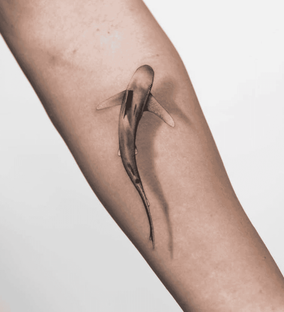 Oceanic Whitetip Shark Above Tattoo