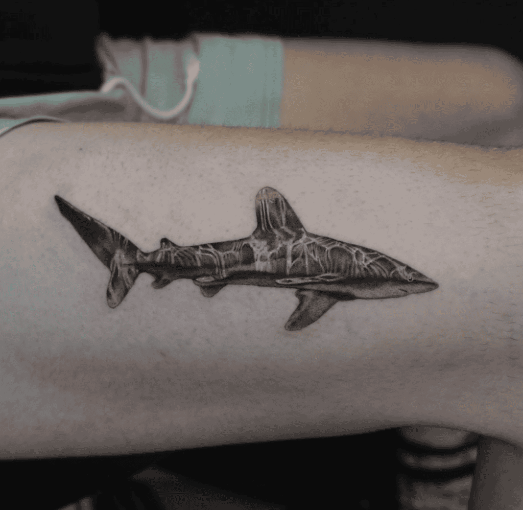 Oceanic Whitetip Shark Tattoo