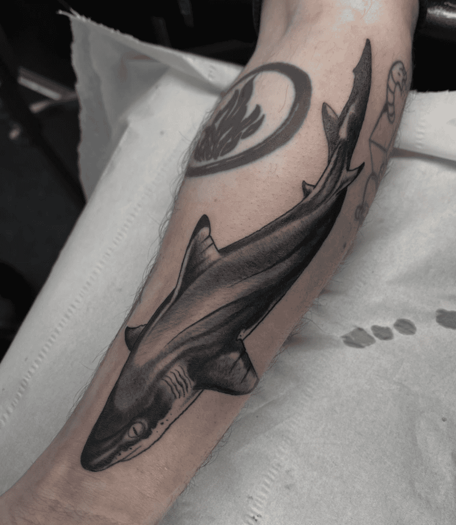 Blacktip Reef Shark Tattoo