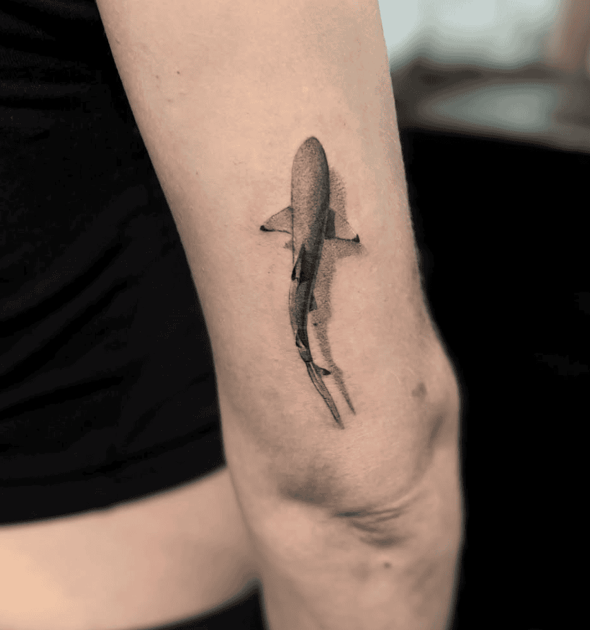 Blacktip Reef SharkSwim Tattoo