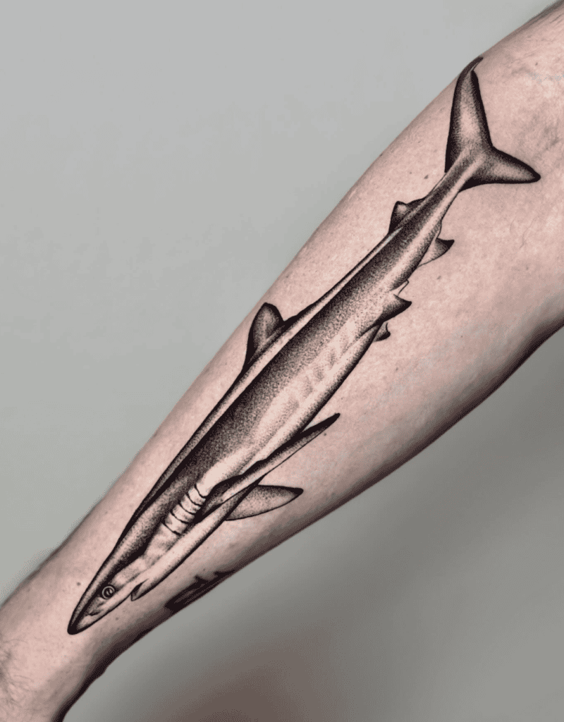 Blue Shark Length Tattoo