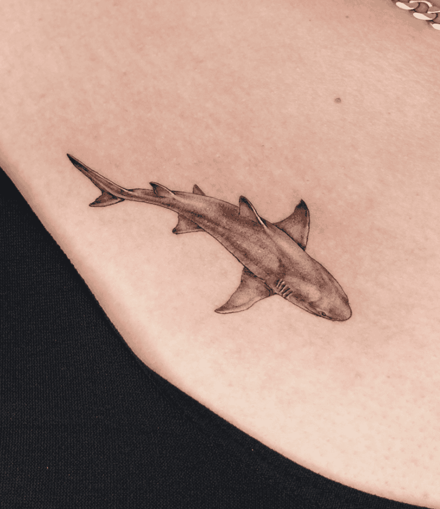 Lemon Shark Tattoo