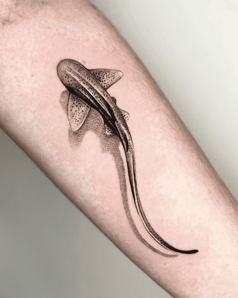 Zebra Shark Above Tattoo