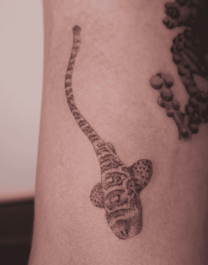 Zebra Shark Tattoo