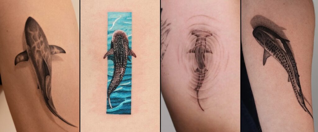 Shark Tattoo Featured Image