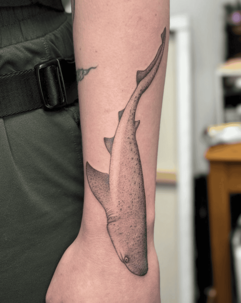 Broadnose Sevengill Shark Tattoo
