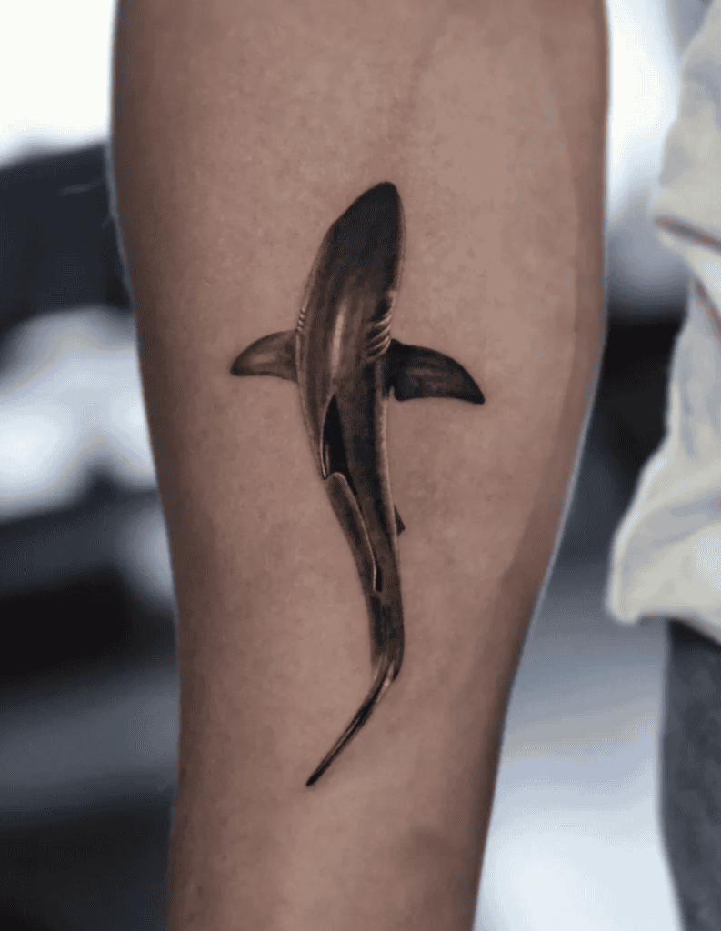 Silky Shark Tattoo