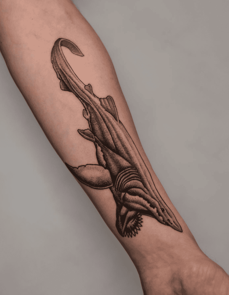Helicoprion Swim Shark Tattoo