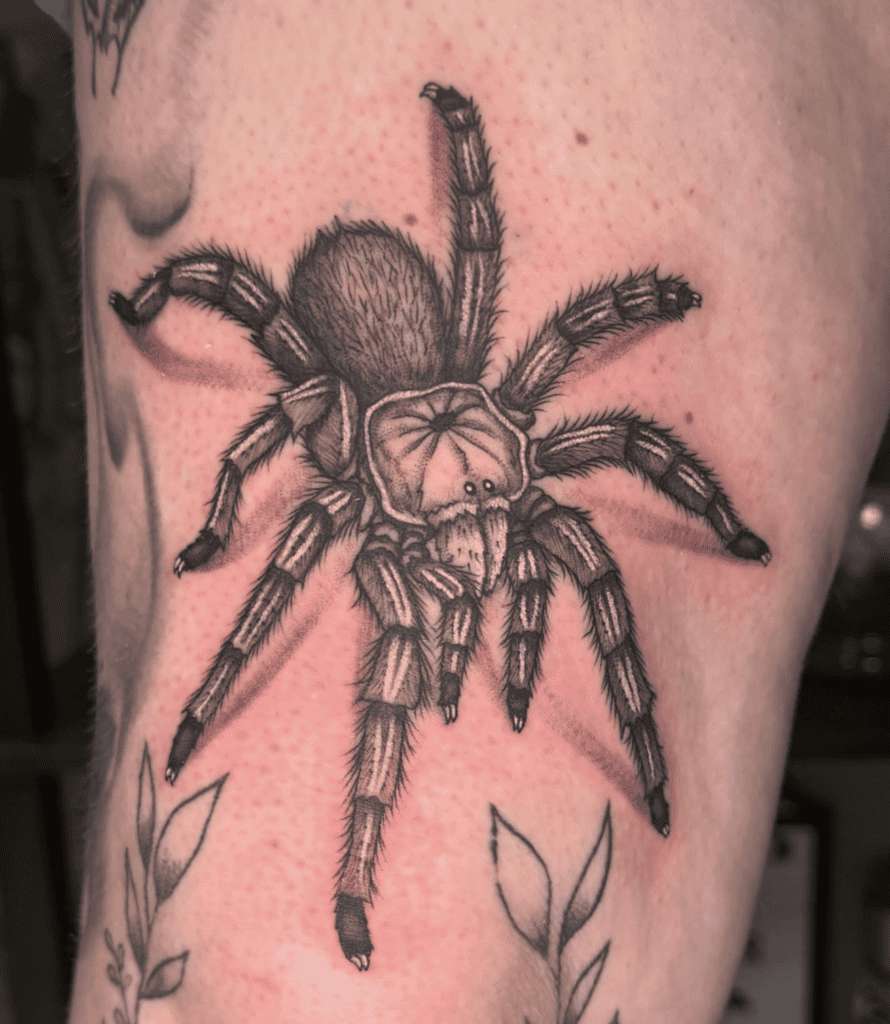 Chilean Rose Tarantula Spider Tattoo