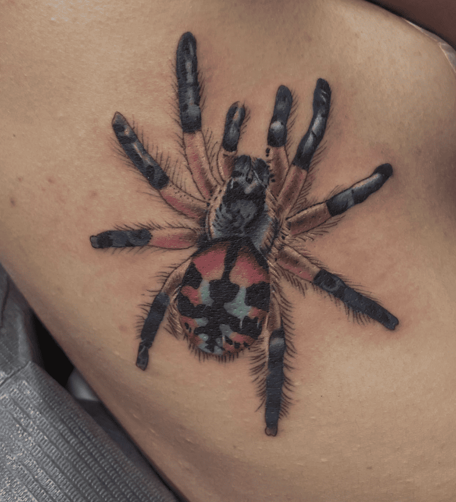Brazilian Jewel Tarantula Spider Tattoo