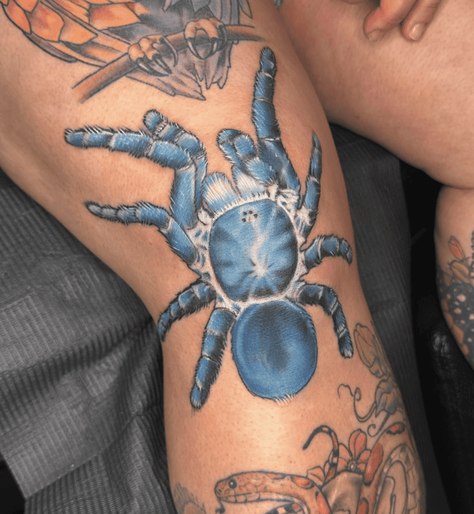 Cobalt Blue Crawl Tarantula Spider Tattoo