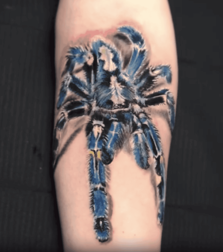 Cobalt Blue Realistic Tarantula Spider Tattoo