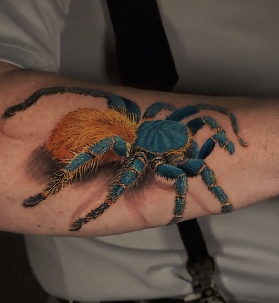 Greenbottle Blue Crawl Tarantula Spider Tattoo