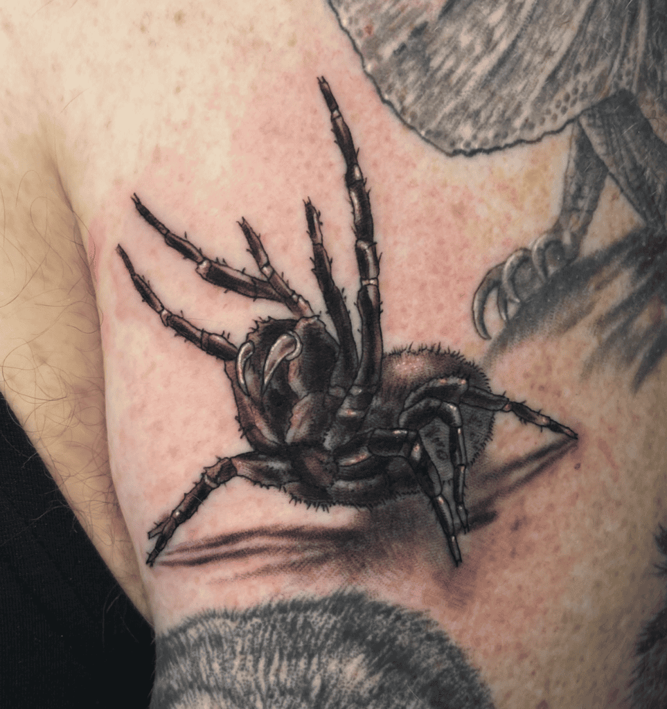 Sydney Funnel-Web Spider Rear Tattoo